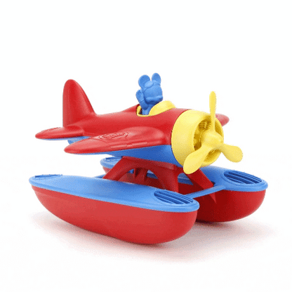 Mickey Mouse Seaplane