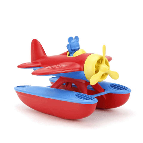 Mickey Mouse Seaplane